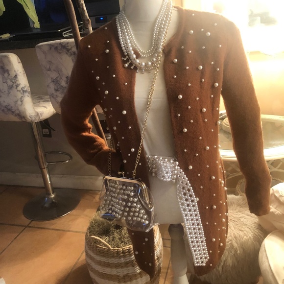 Brown Pearl Sweater with Accessories